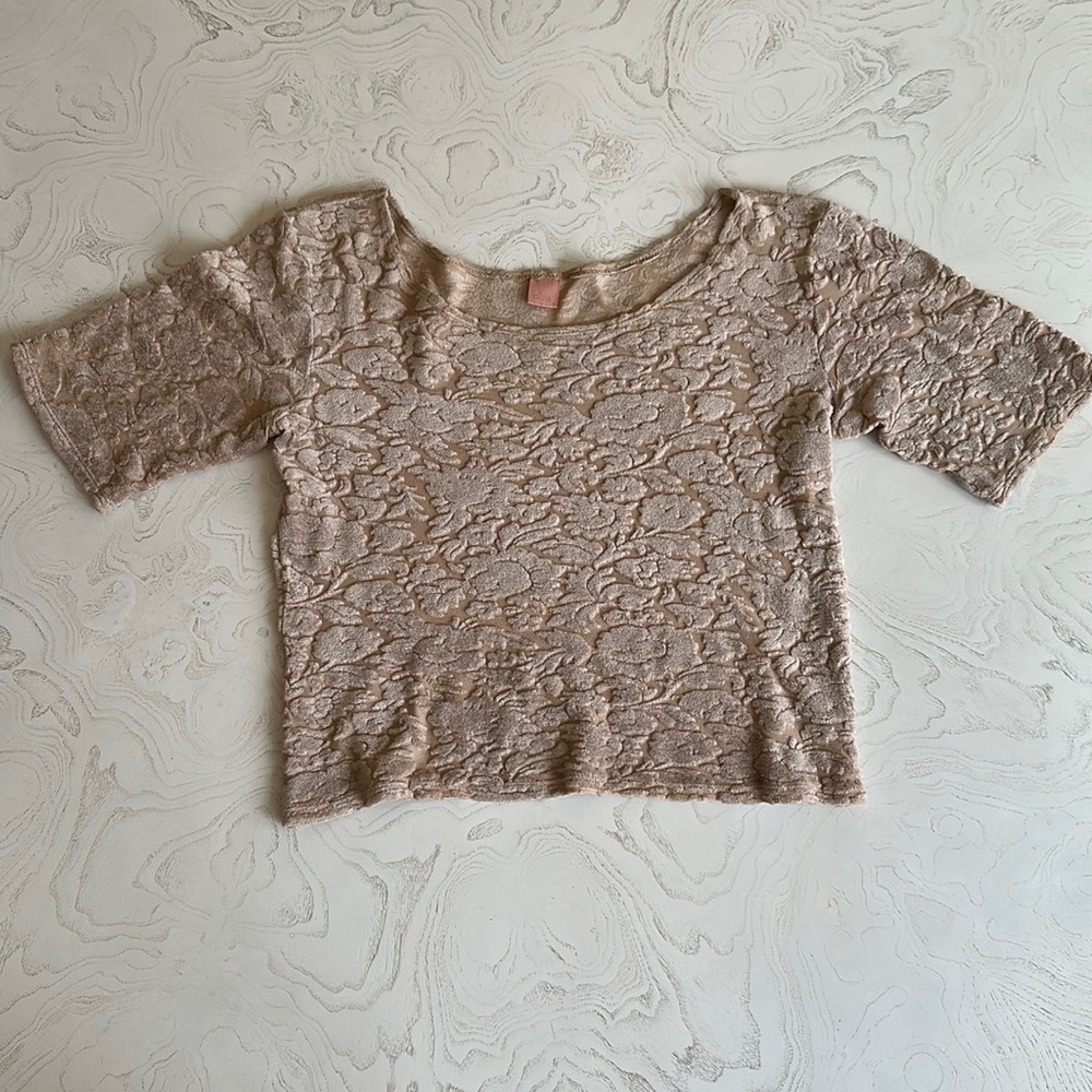 Stretch velvet burnout crop top